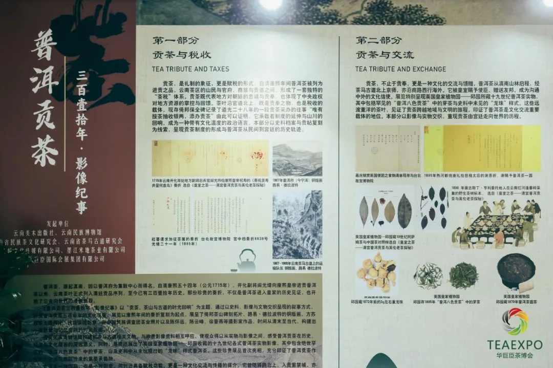 from clipboard from clipboard